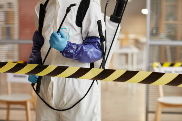 Professional Sewage Cleanup technician working in Hebron, PA